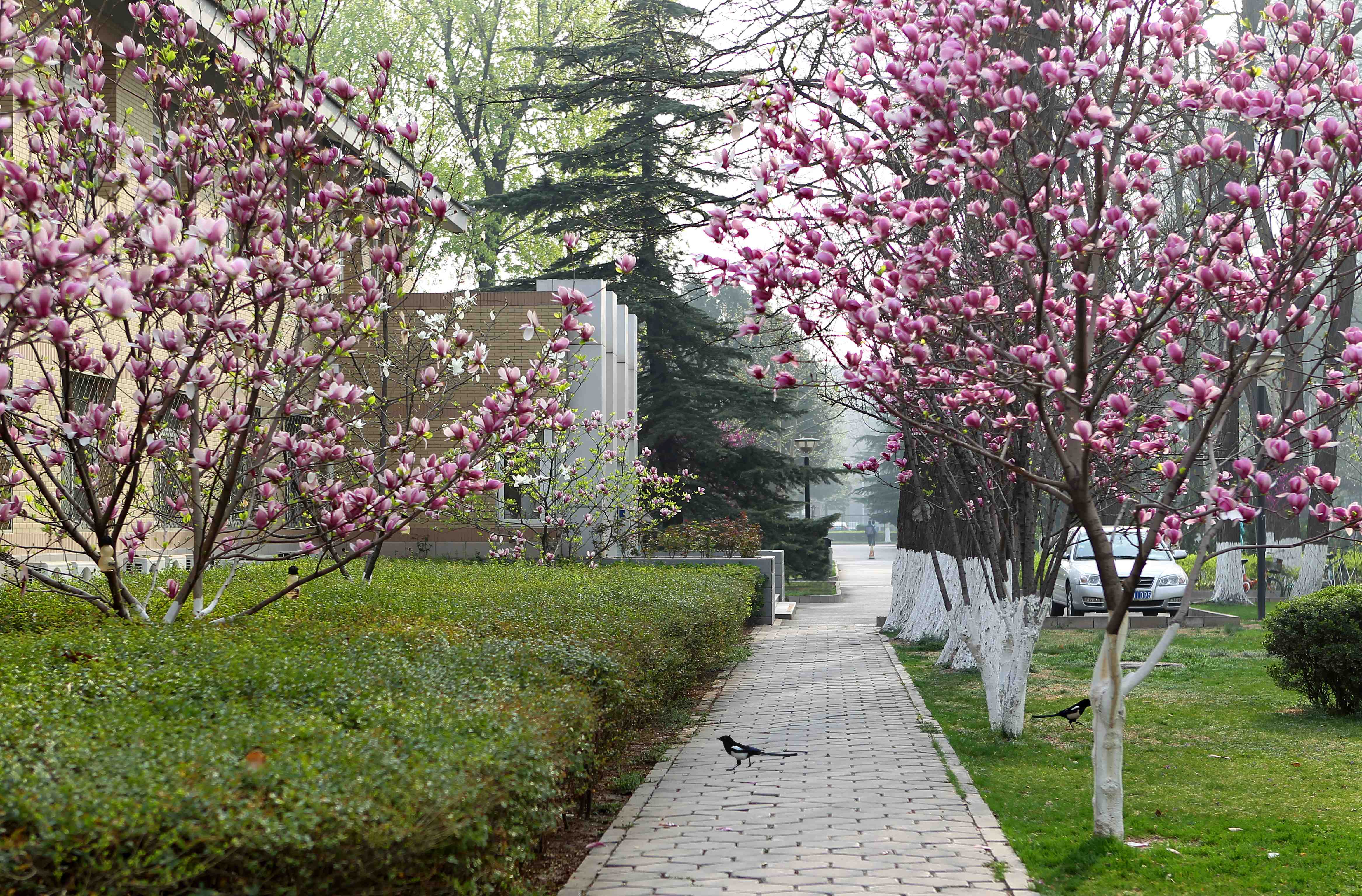 Yuquan Road Campus