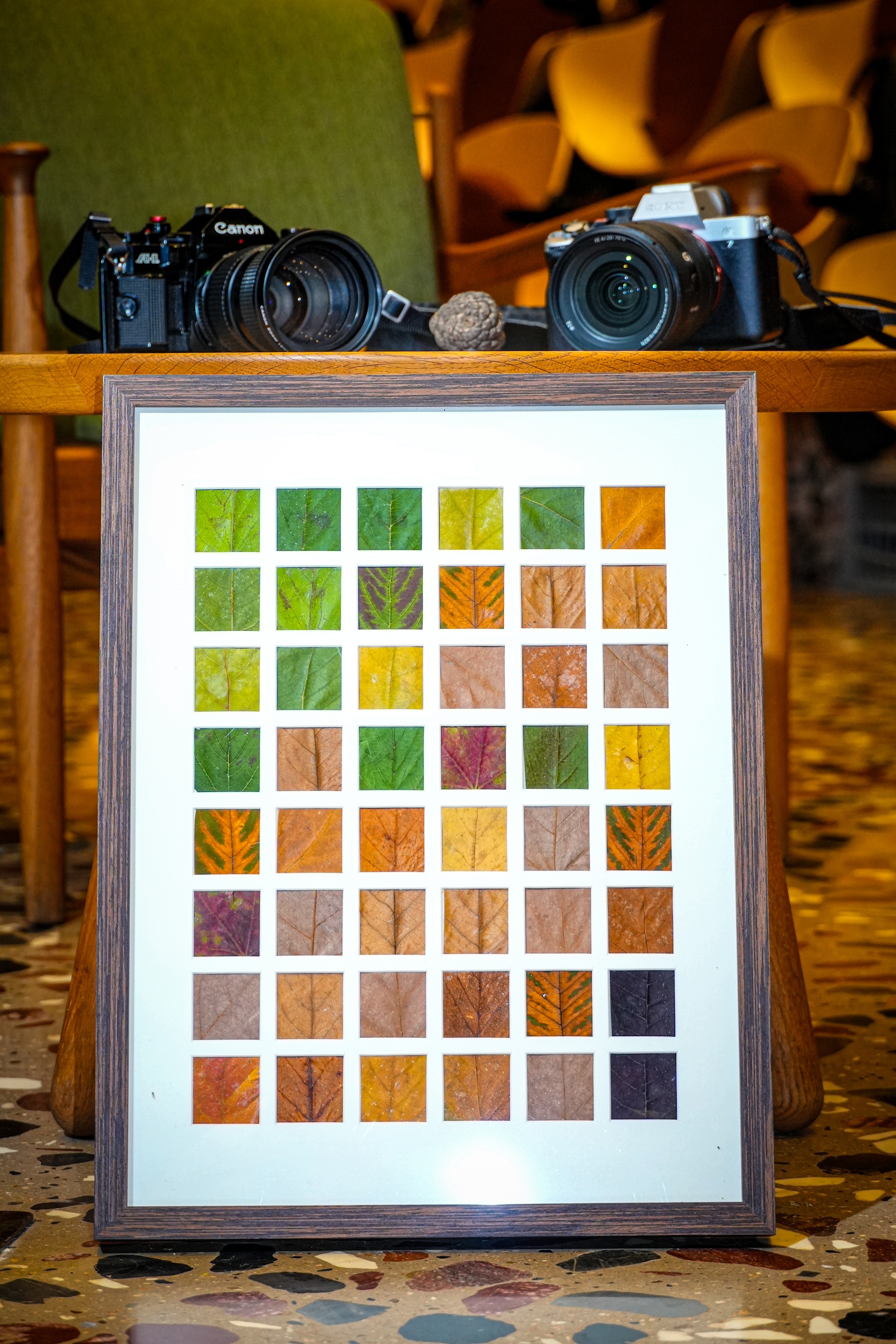 Pick Up the Autumn at UCAS